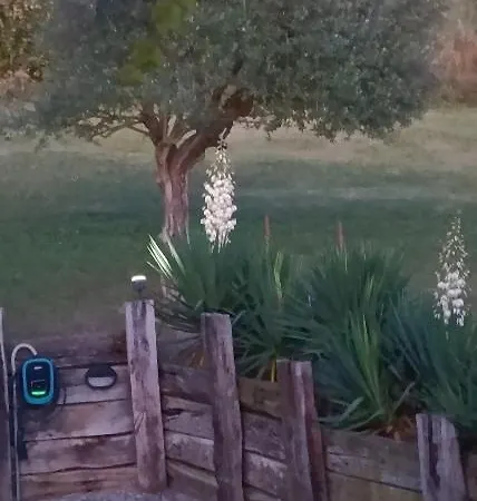 Vakantiehuis Casa Del Canta Borgomale