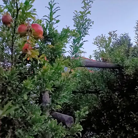 Casa Del Canta Vakantiehuis *