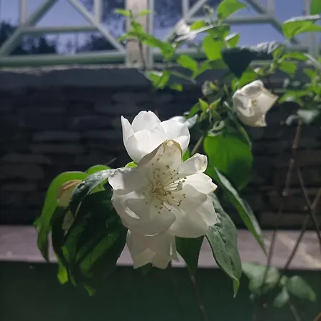 Vakantiehuis Casa Del Canta