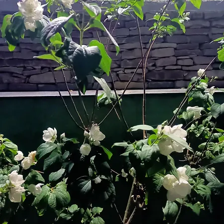 Casa Del Canta Vakantiehuis Borgomale