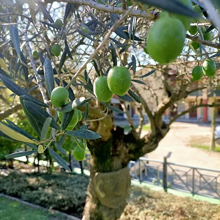 Casa Del Canta Vakantiehuis