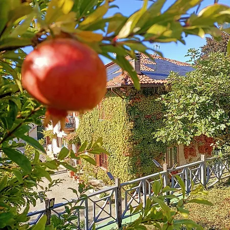 Casa Del Canta Vakantiehuis *